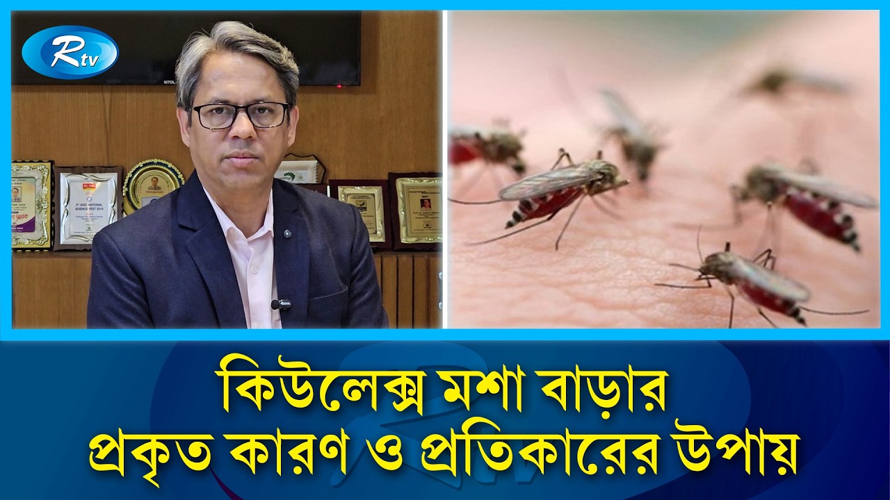 কিউলেক্স মশা কেন বাড়ছে কিভাবে নিয়ন্ত্রণ করা যাবে? | Mosquito Control  | Rtv News