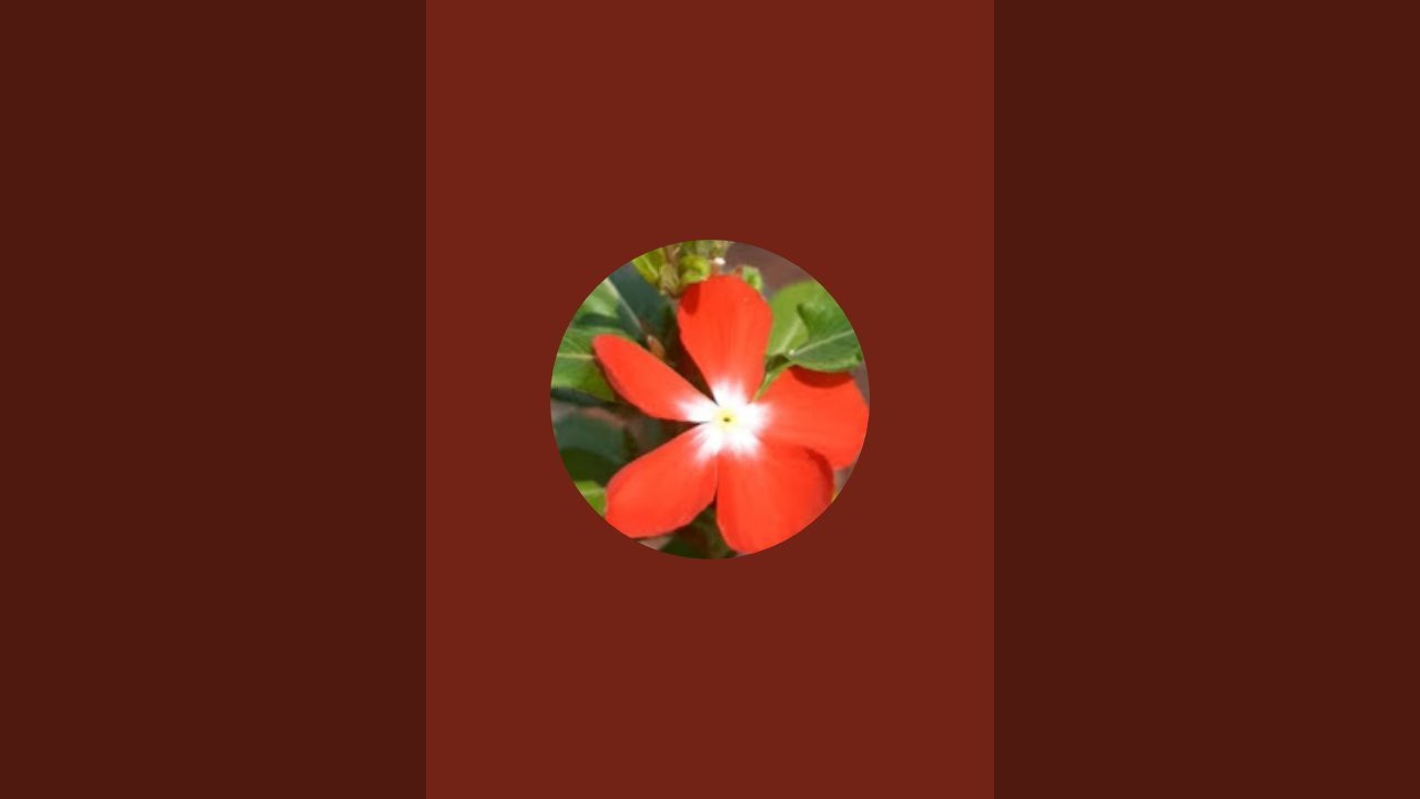 Swetaark is live!