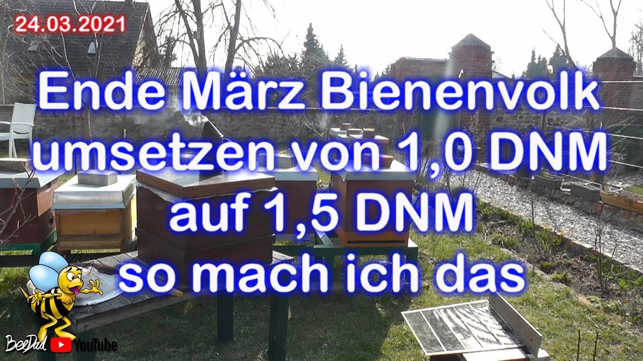 #Bienen und #Imkerei 2021 #Bienenvolk von 1,0 DNM auf 1,5 DNM umsiedeln wie ich das mache.
