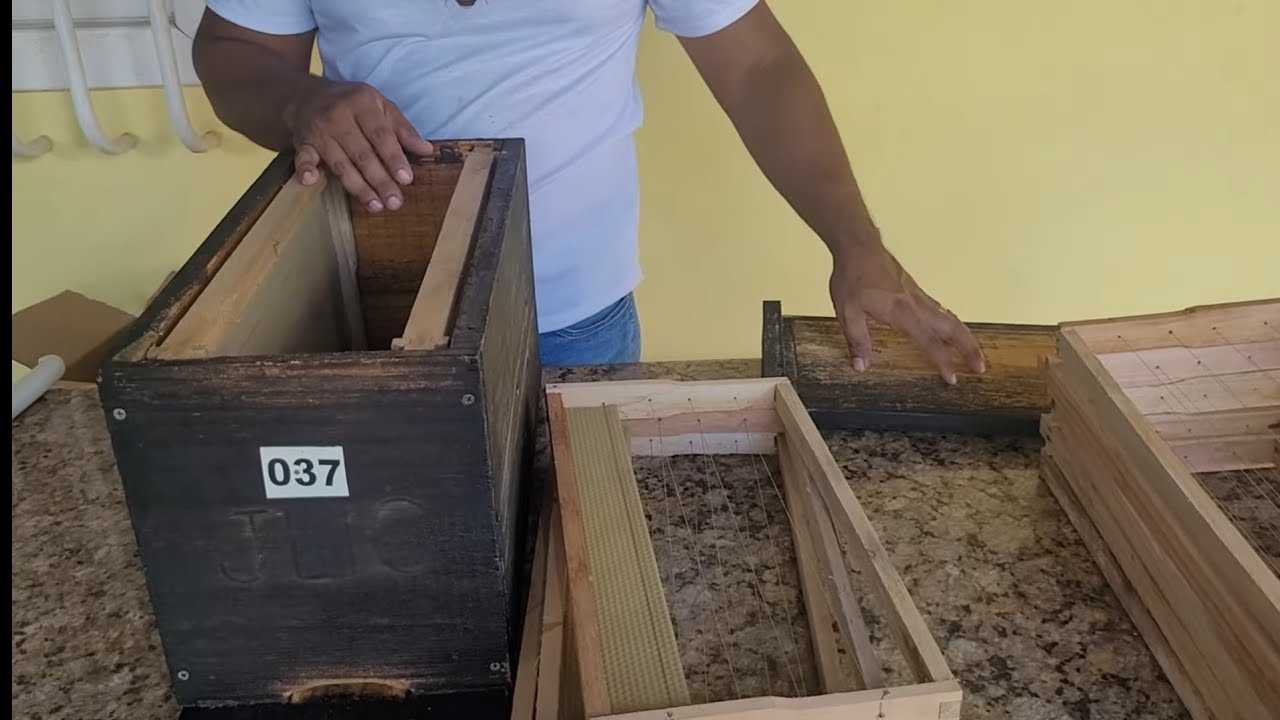 Preparando CAIXA ISCA em núcleo de 5 quadros /abelhas apis🐝