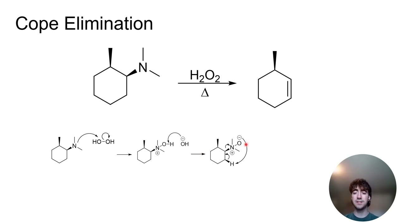 Cope Elimination and Hofmann Elimination