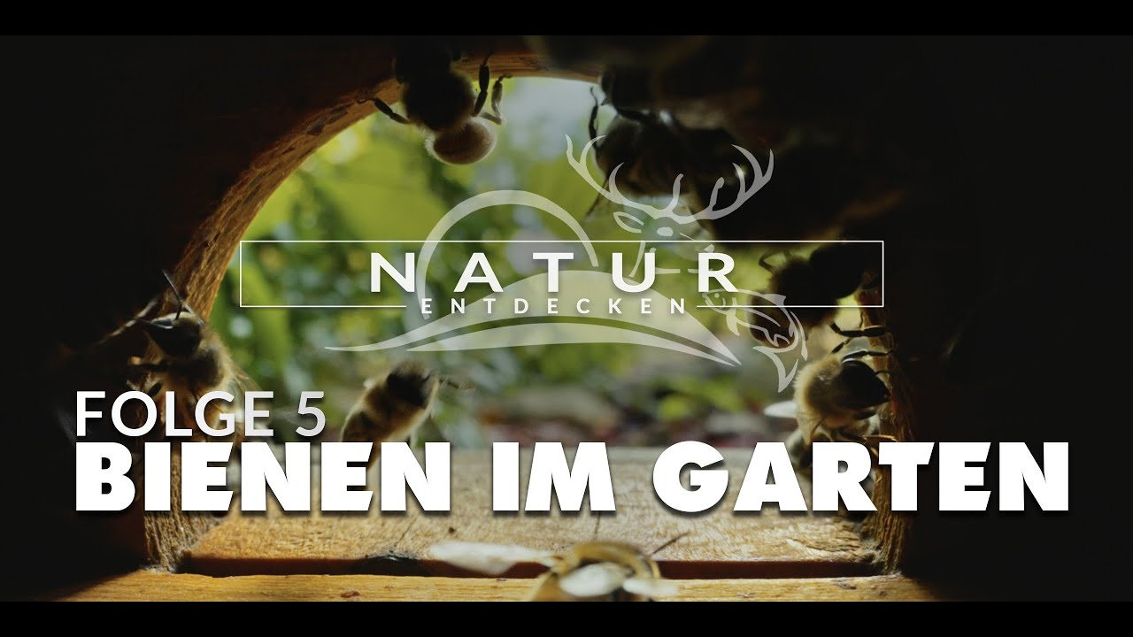 Natur entdecken - Folge 5 - Bienen im Garten