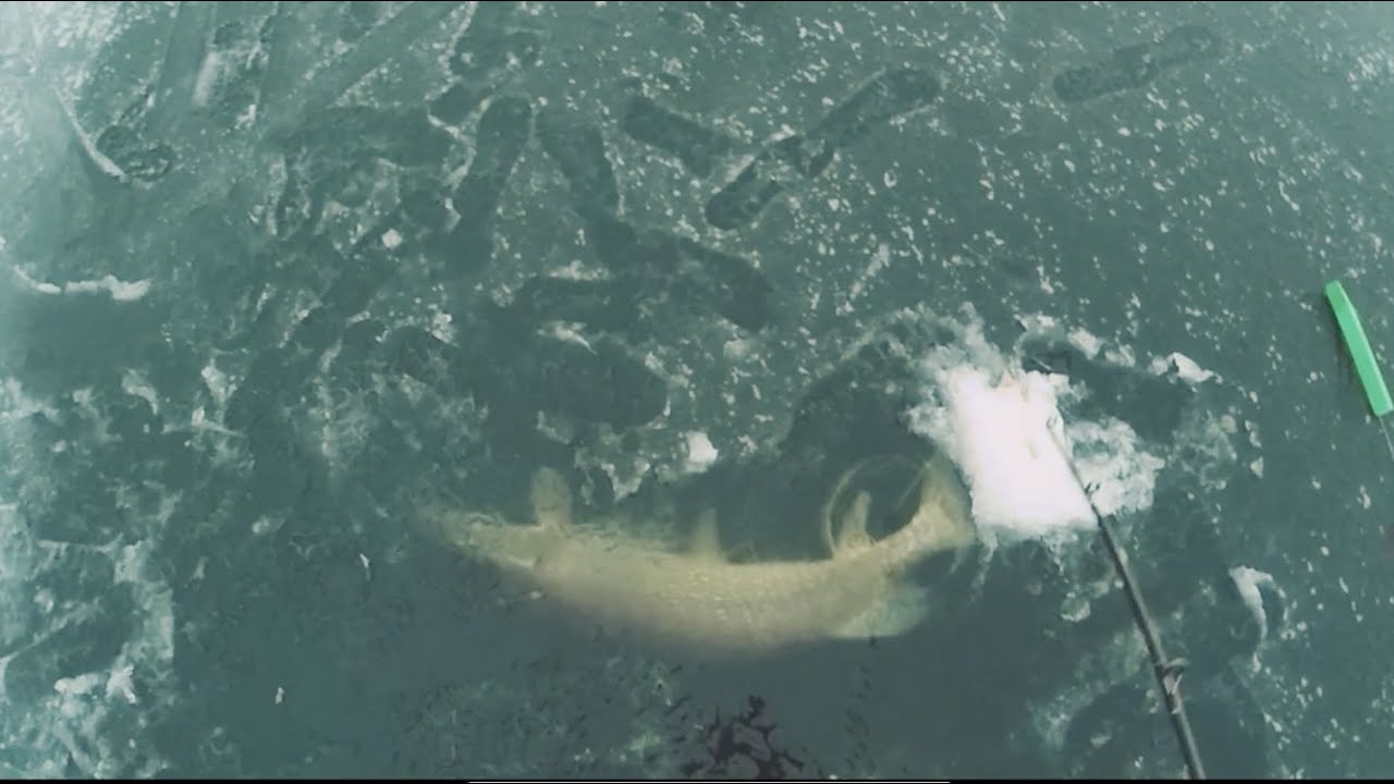 GIANT PIKE from the ICE!🐊🥶 a fish of a lifetime