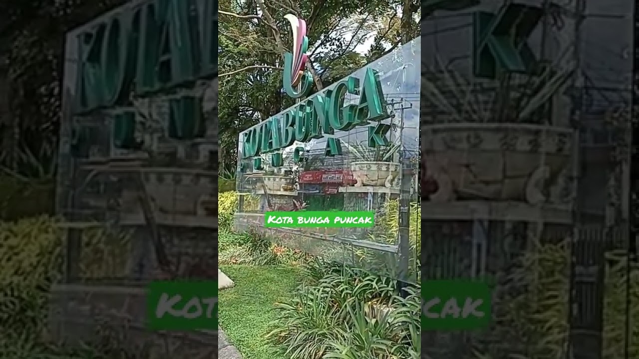 kota bunga puncak#shorts