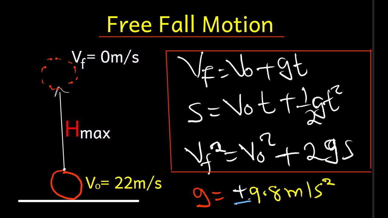 Free fall motion | physics problems | made easy