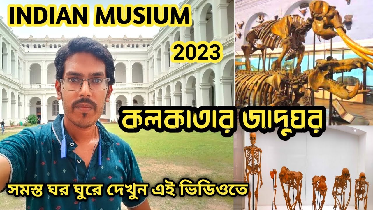 Indian Museum Kolkata। কলকাতার জাদুঘর। Indian Museum Ticket Price,Timing All Gallery Details।