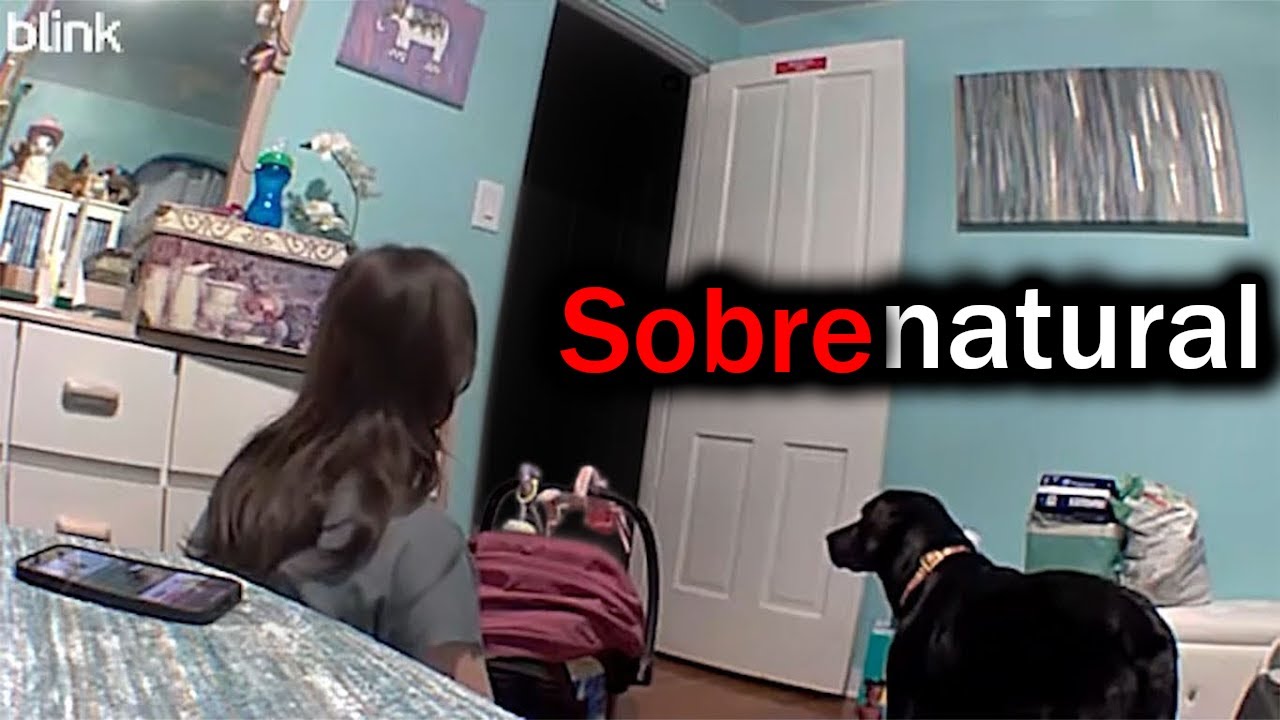 Compilado Sobrenatural 28