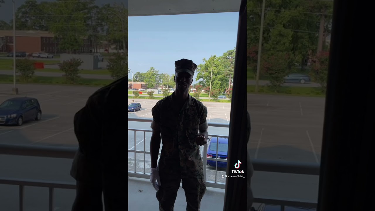 Полевой дневной осмотр, часть 2 (пока мы отслеживаем)