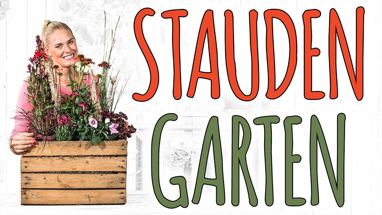 STAUDENGARTEN - IN DER HOLZKISTE - DIY