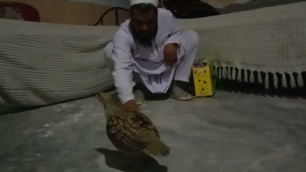 اللہ پاک ابرھیم بھائی کو اللہ نصیب کرے