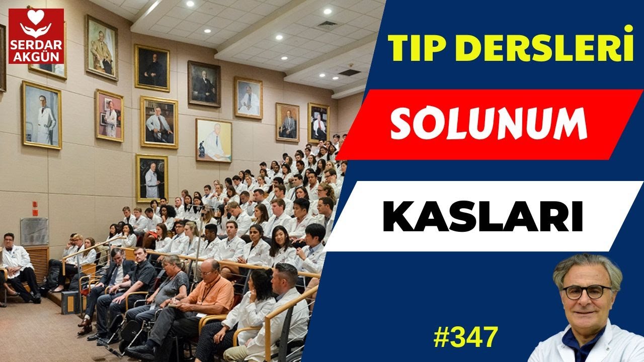 347. Fizyoloji, Solunumun Temelleri, Solunum Kasları, SERDAR AKGÜN