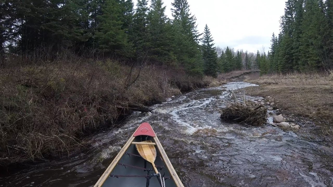 Canoeing Whitemud Creek, Edmonton