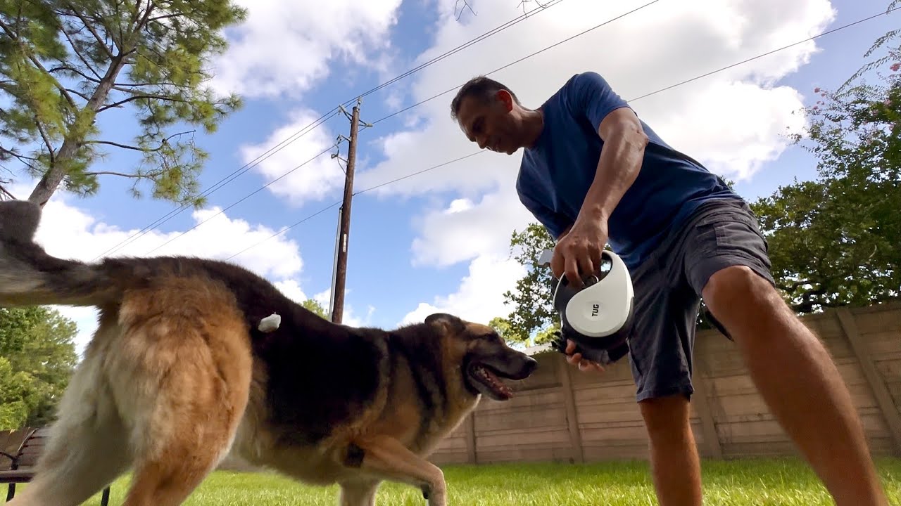 Morning Routine With My German Shepherd 🐕 | Daily Dog Care