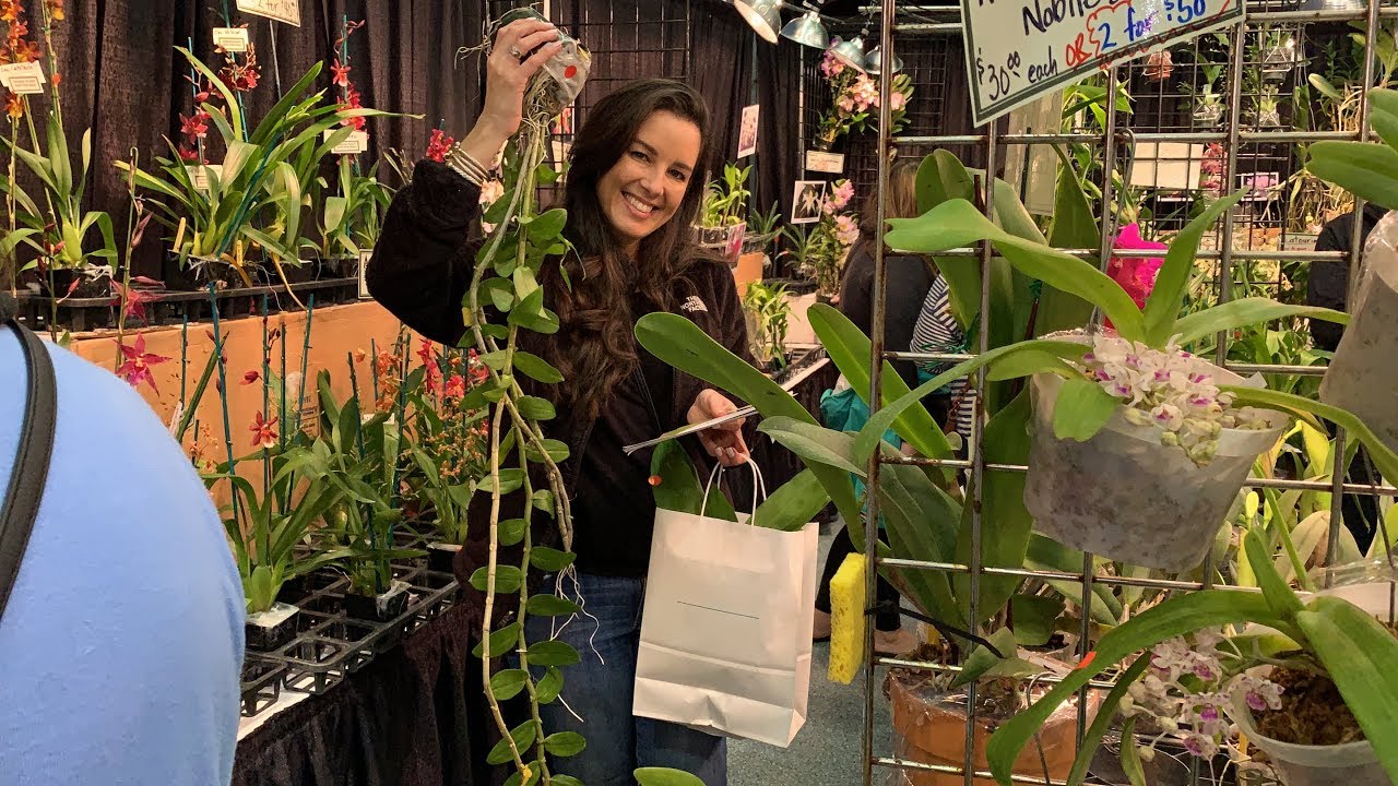 Orchid Paradise Show 2019, Fort Lauderdale Orchid Society, Great Orchid Displays