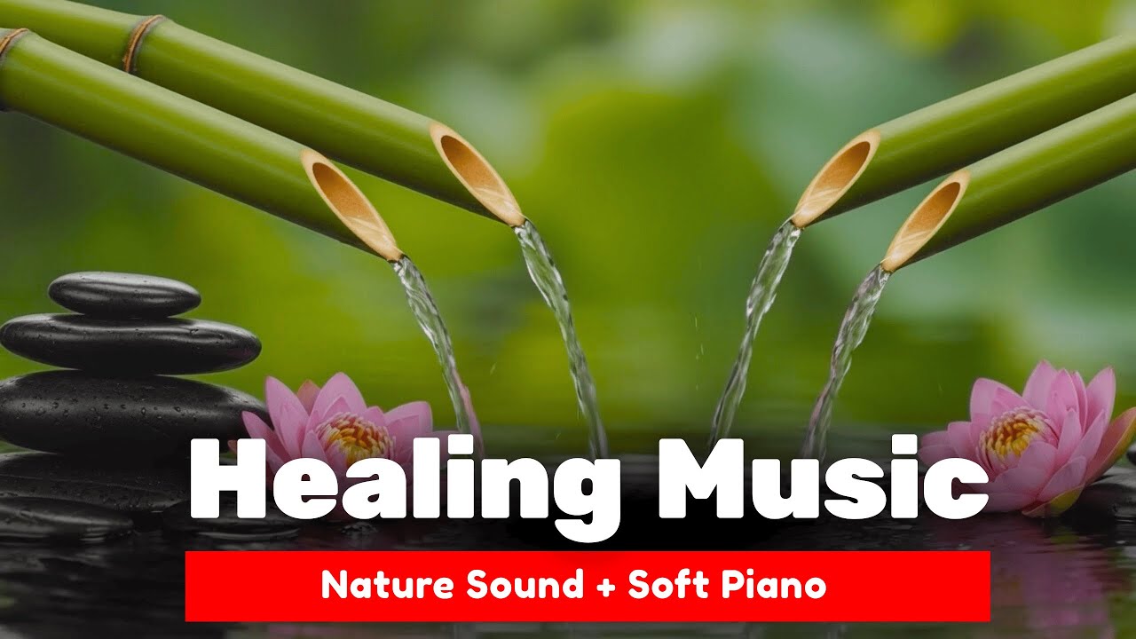 LIVE 🔴 24/7: Healing Sound  Ambience for Deep Sleep, Relaxation, Study, Work and Meditation.