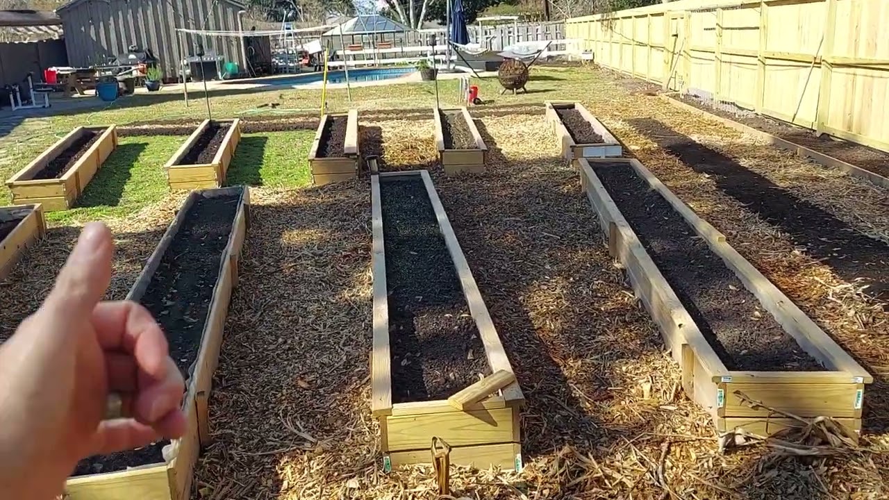 Sunday Update on the Farm