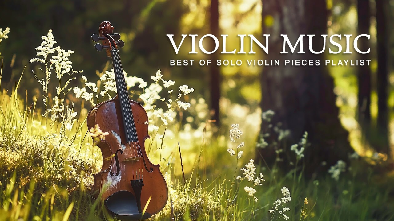 Violin Music | Soft & Elegant Violin for a Calm Atmosphere