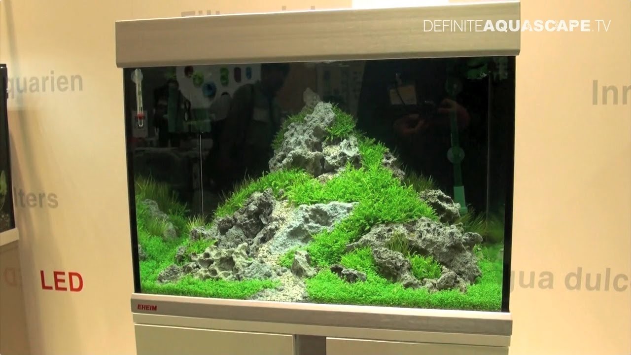 Aquarium ideas from InterZoo 2014 (pt. 13) - EHEIM, Proxima tanks