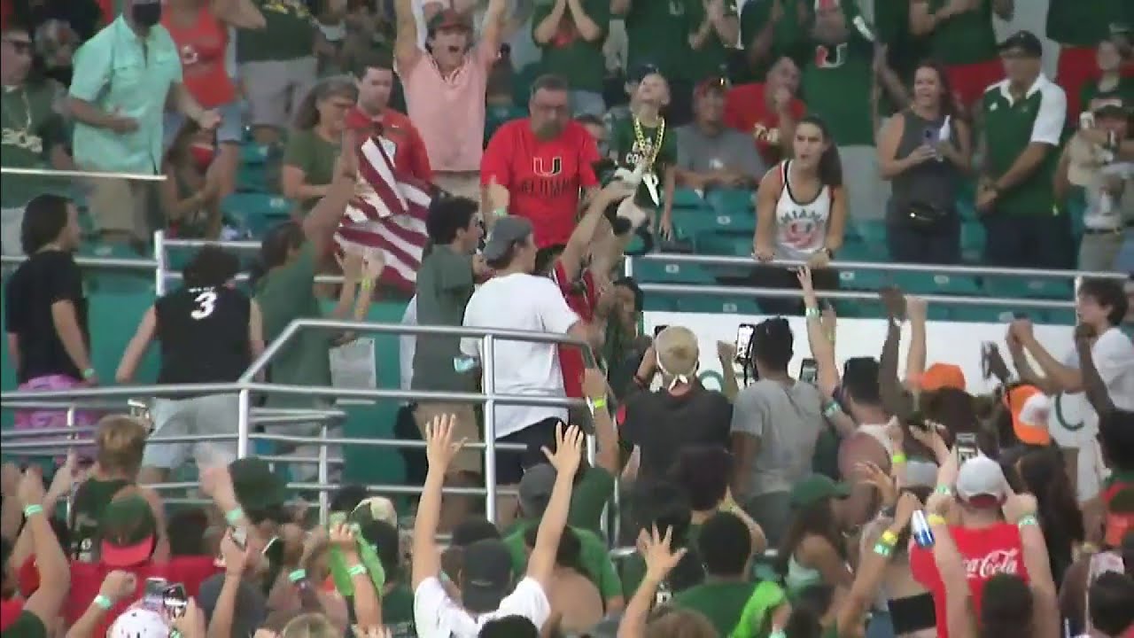 Fans saved falling cat at Hurricanes game but couldn't keep it from running off