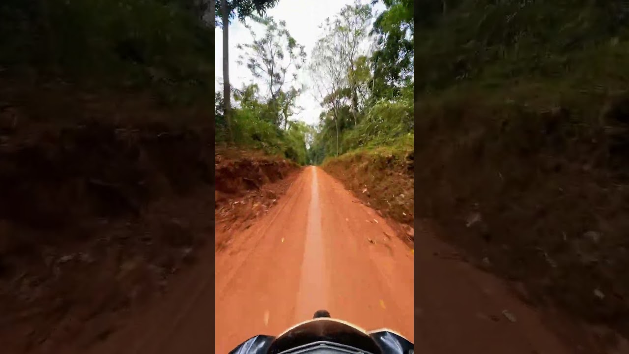 Con Đường Bê Tông Đi Xuyên Qua Khu Rừng Bảo Tồn Nam Ka Đak Lak / vlog