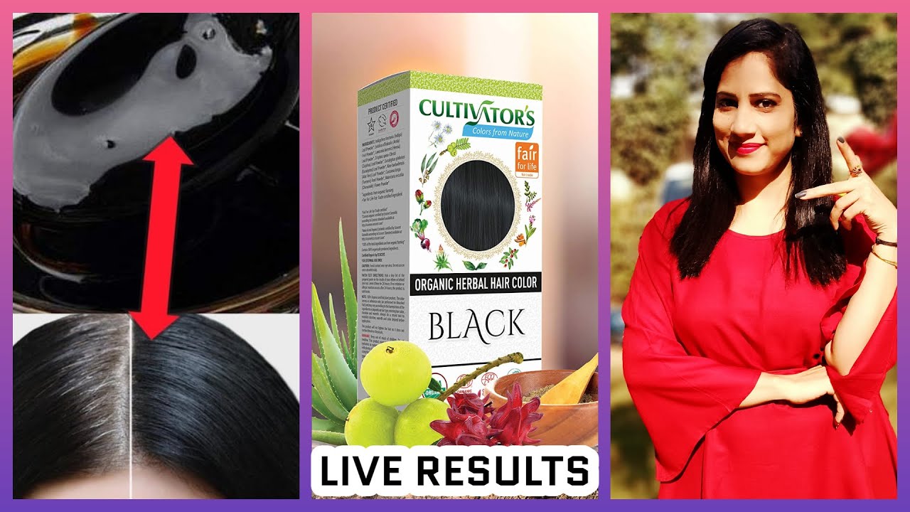 LIVE RESULTS White Hair to Black Naturally Cultivators Organic Herbal Hair Color #bindunaturalworld