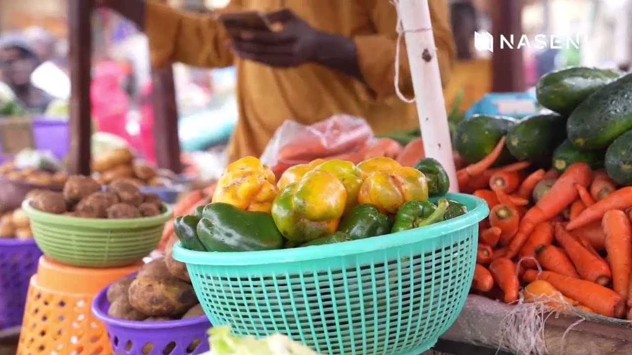 NASENI: Impacting Nigeria's Agricultural Ecosystem