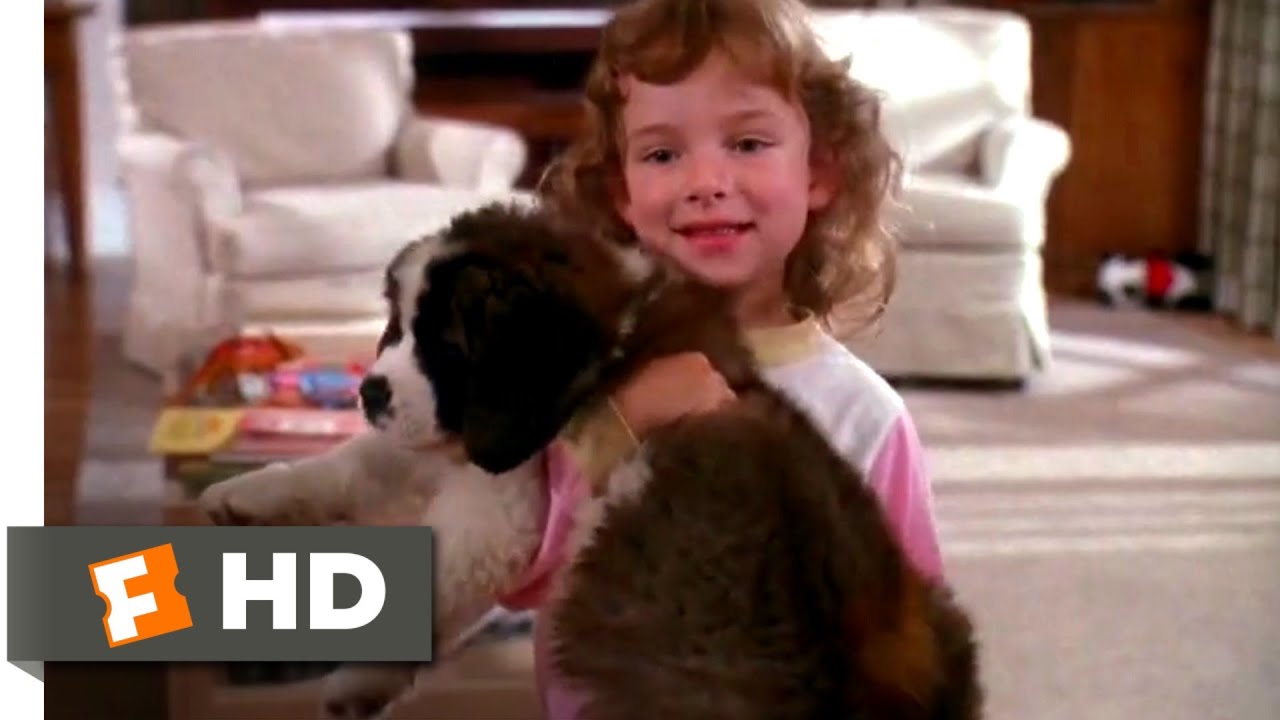 Beethoven (1992) - The New Puppy Scene (1/10) | Movieclips