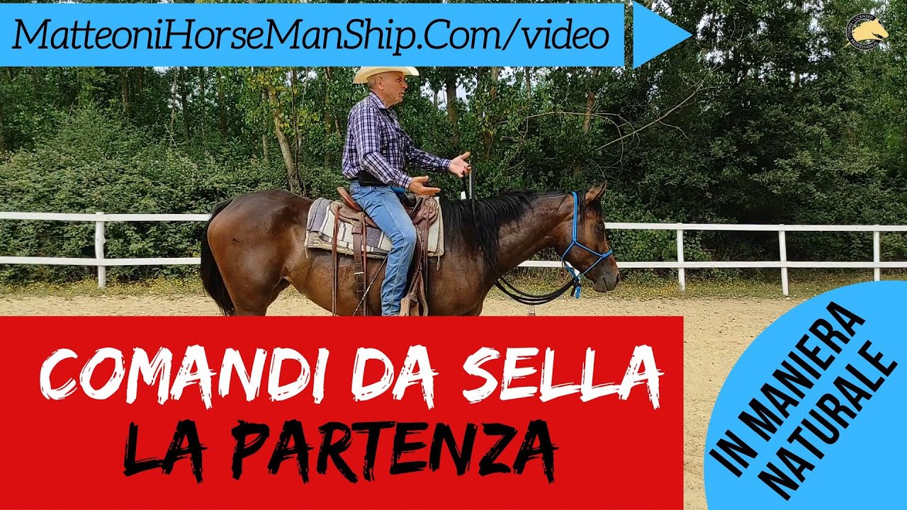 Comandi da sella   La partenza