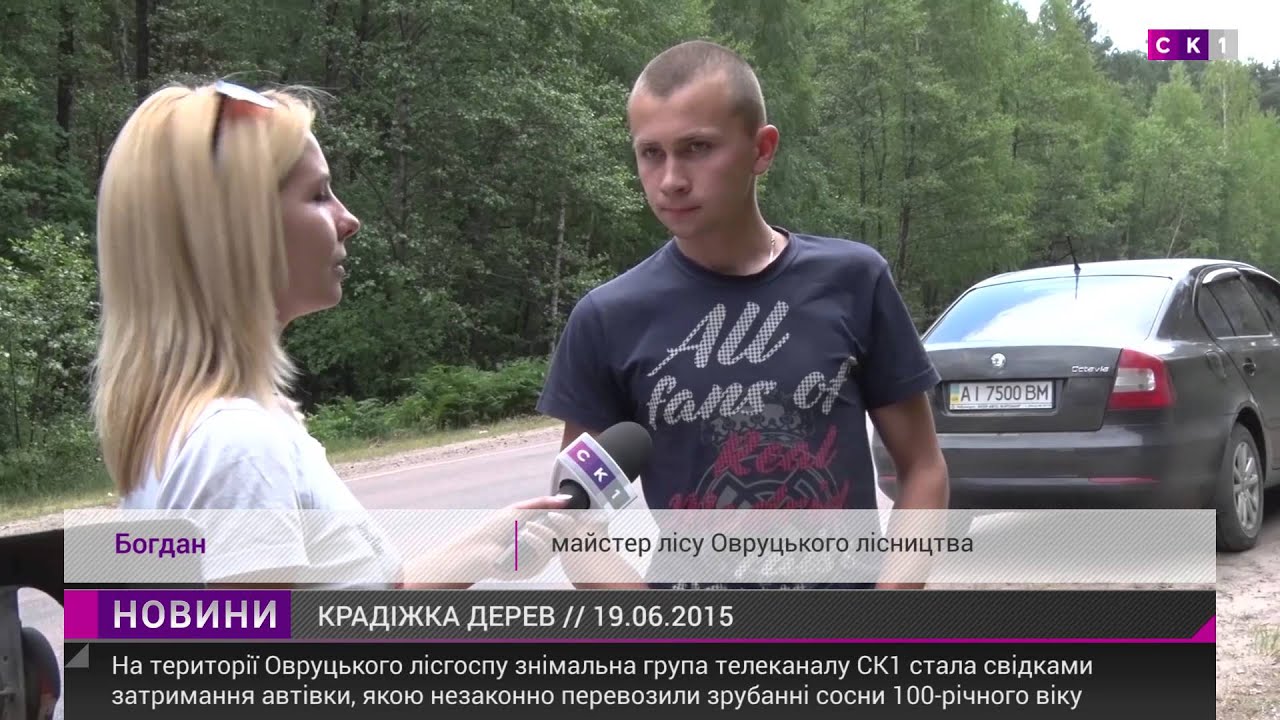 Незаконна вирубка дерев в Овруцькому лісгоспі