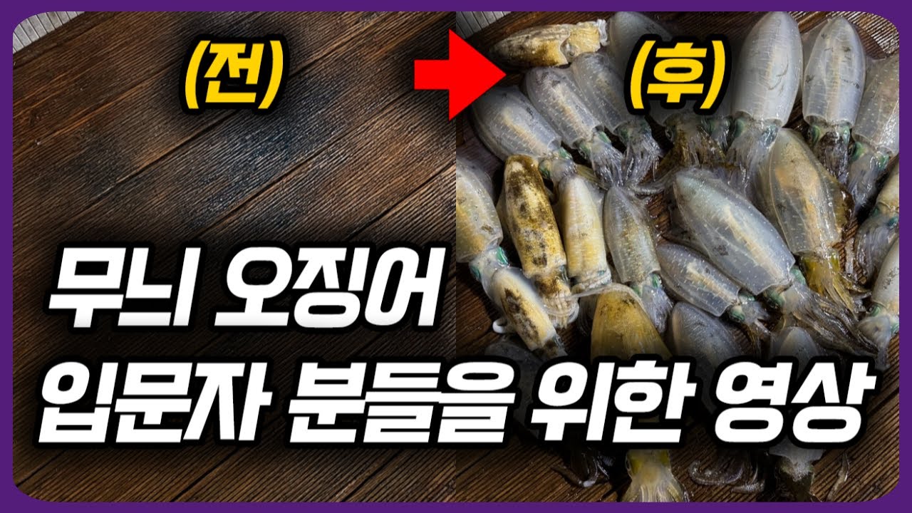 무늬오징어 팁런 낚시 핵심, 이 영상만은 꼭 보고 가세요 !!