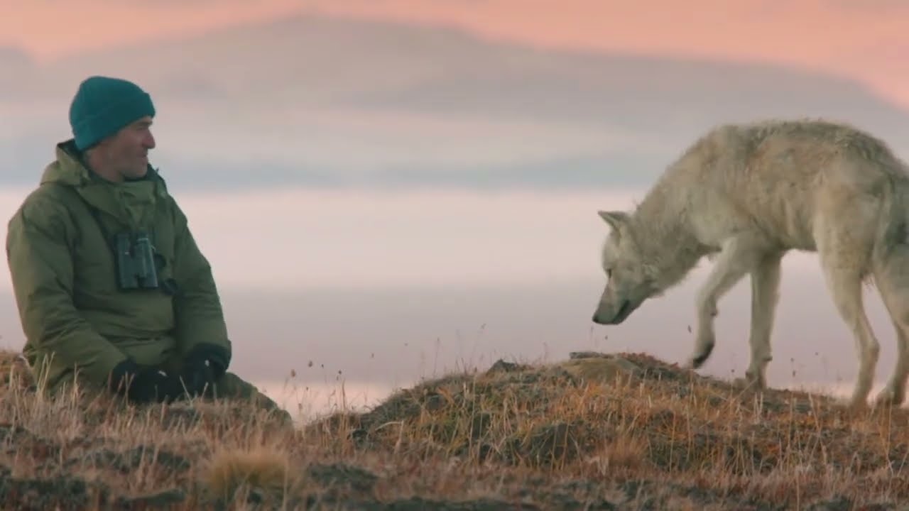Gordon Buchanan   30 Years In The Wild