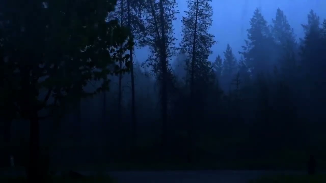 [Part 2] Heavy Rain & Rolling Thunder (10 Min) | Tiếng Mưa Rào & Sấm Rền Giúp Ngủ Sâu