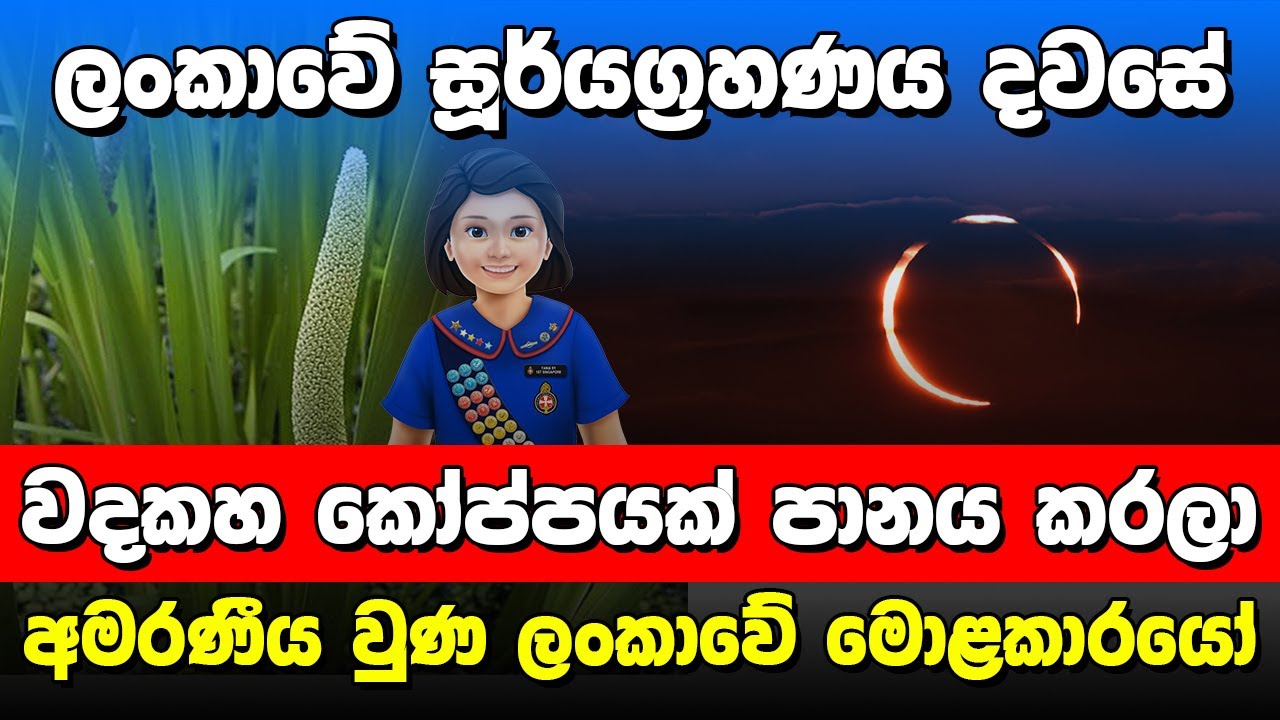 වදකහ බීලා නොමැරී ජීවත්වෙන මිනිස්සු.| Solar Eclipse 1955 |