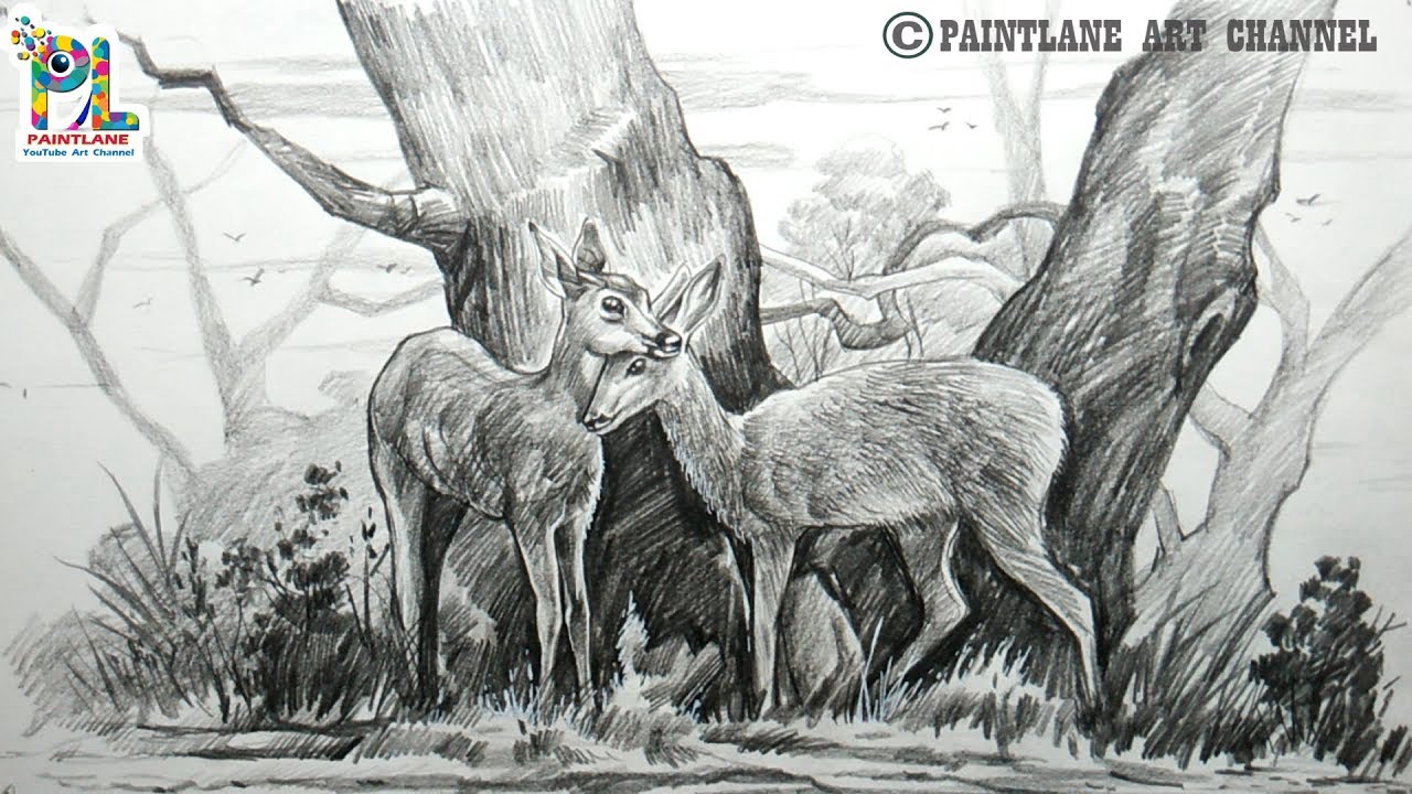 How To Draw Two Deers In A Landscape With Pencil Art | Easy Pencil Shading