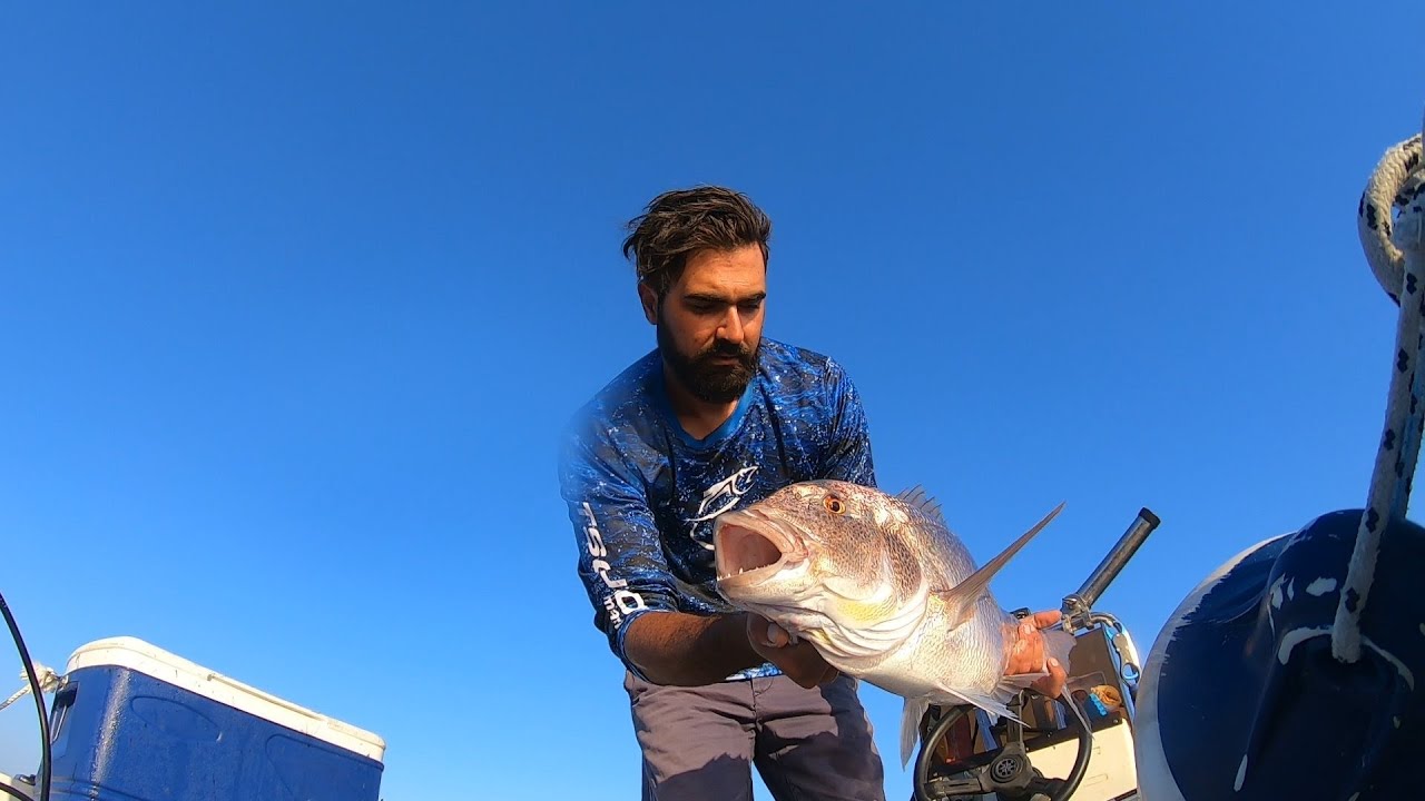 Fishing live strike! How to catch big fish with live bait / Dentice fishing/ Ψαρεμα Συναγριδας