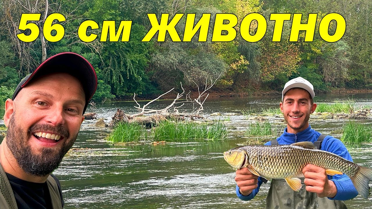 СВИНЯ ИЗБОЧИ КОЧИНАТА - ПРЪСНАХМЕ ХИЩНИЦИТЕ от БОЙ. ИЗГУБИХМЕ се в ГОРАТА и ВИДЯХМЕ СЛЕДИ ОТ ЕЛЕН