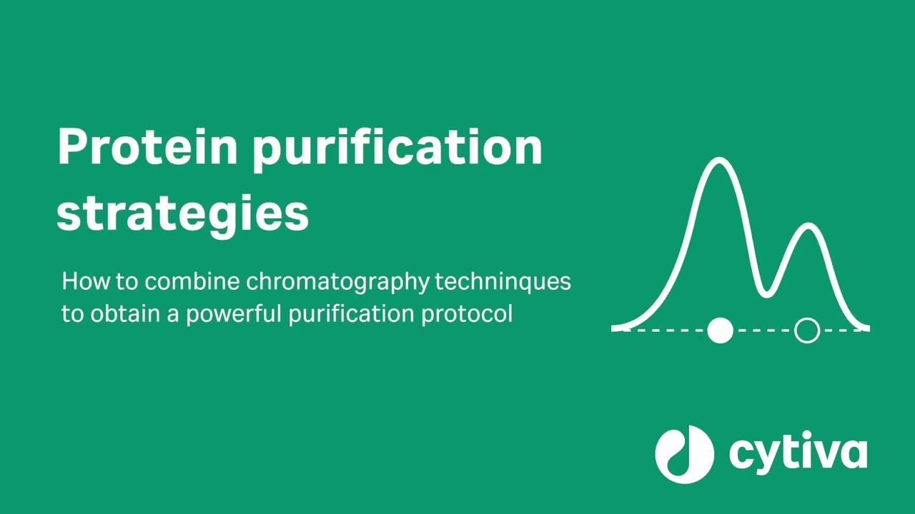 Techniques, methods and strategies of protein purification