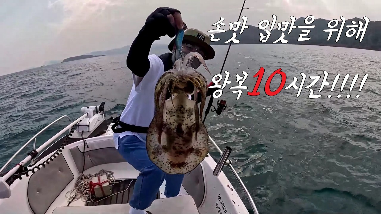 이 맛을 느끼러 두번째 방문한 아름다운 바다! 그냥 잘잡히네요! big fin squid