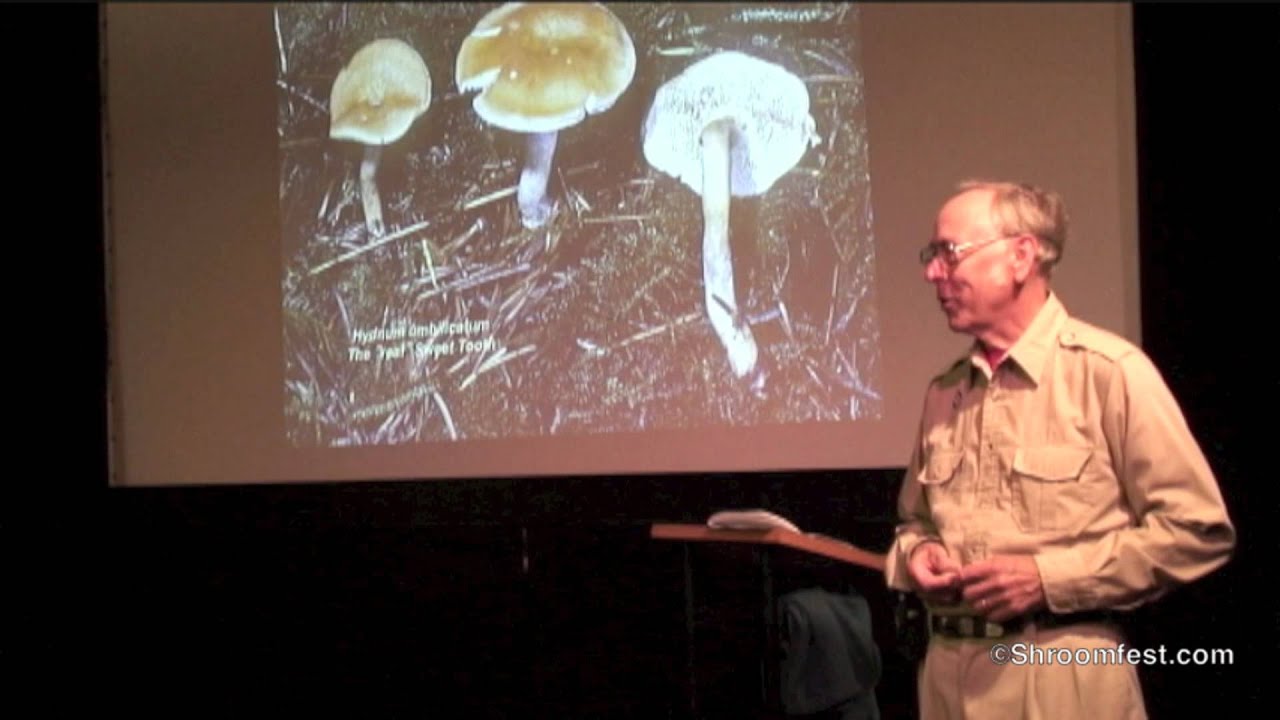 Michael W. Beug, PhD @ Shroomfest 2011 - Mushroom Taxonomy: Who's My Daddy?