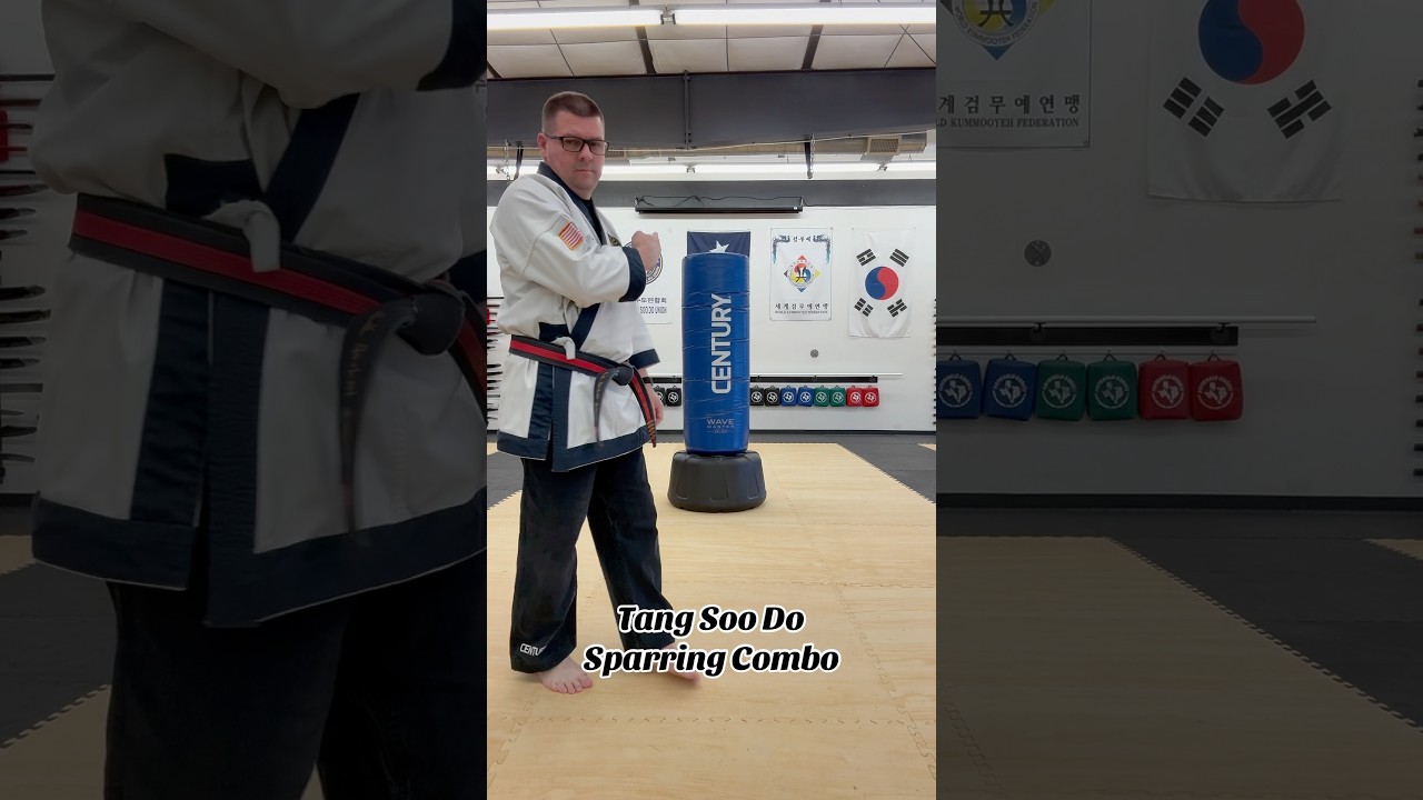 Tang Soo Do Sparring Combo