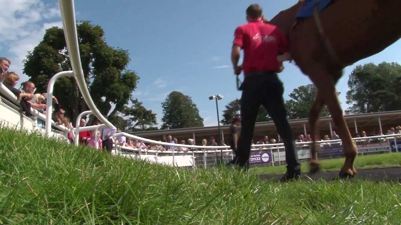 Sunday racing at Fontwell Park