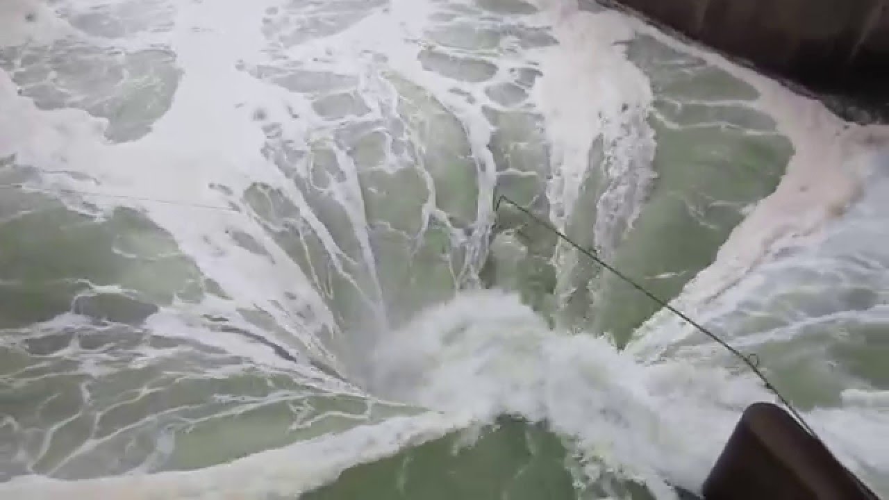 Eraring Power Station - Cooling Water Discharge 