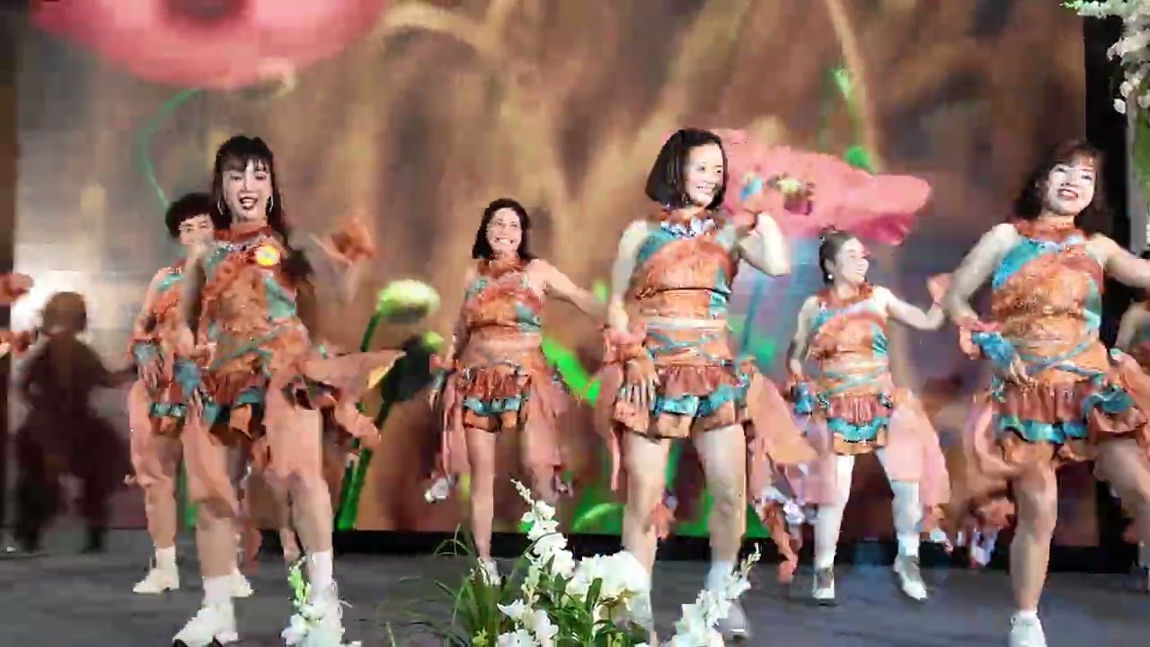 TÂM PHÚC AN   ANFIT HẠ LONG TRÌNH DIỄN GOT TALENT