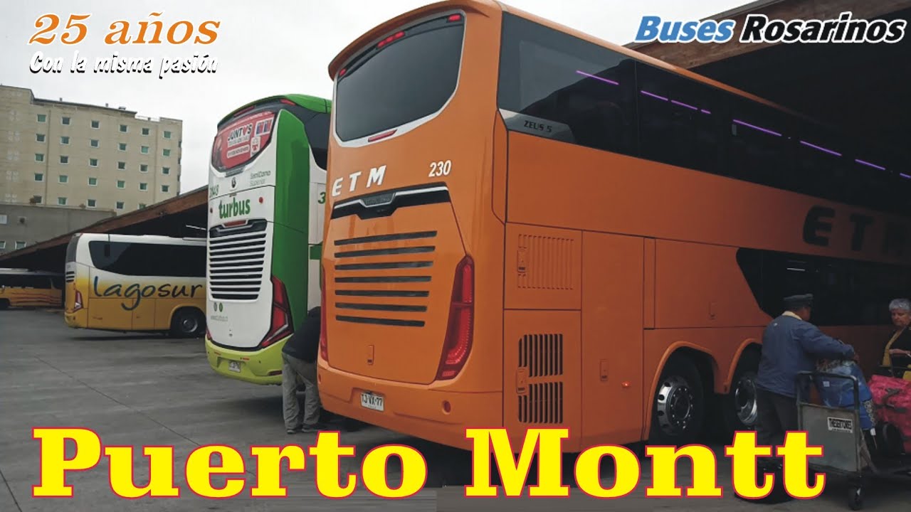 PUERTO MONTT - CHILE - EXPERIENCIA BUSES ROSARINOS 2025