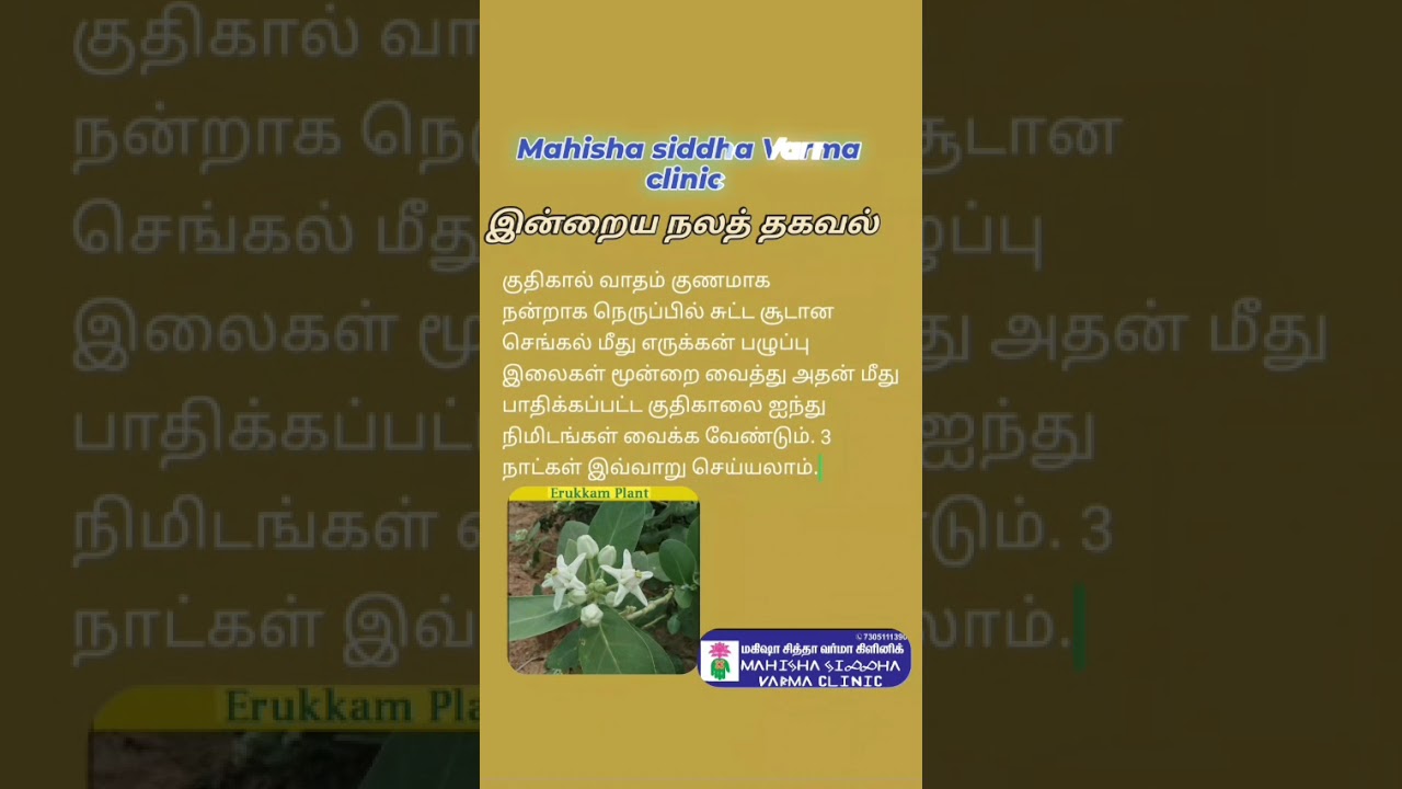 Experience the power of traditional Siddha Maruthuvam