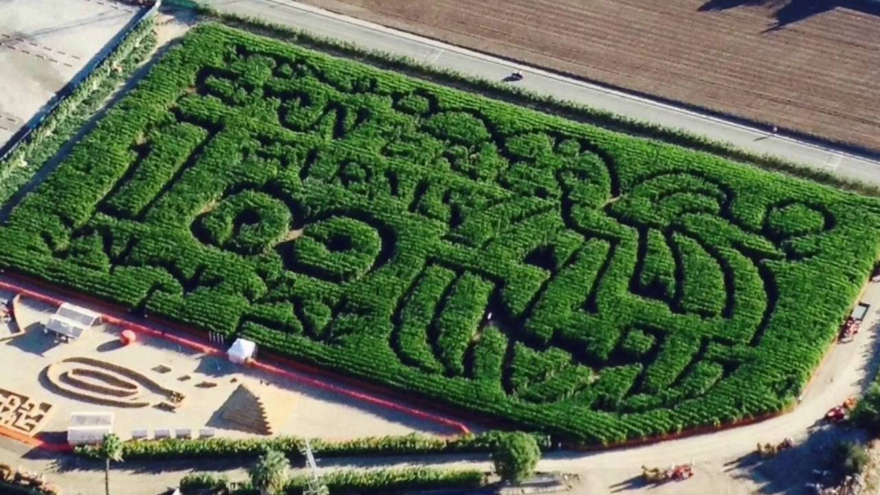 Forneris Farms 2016 Super Farmer Corn Maze