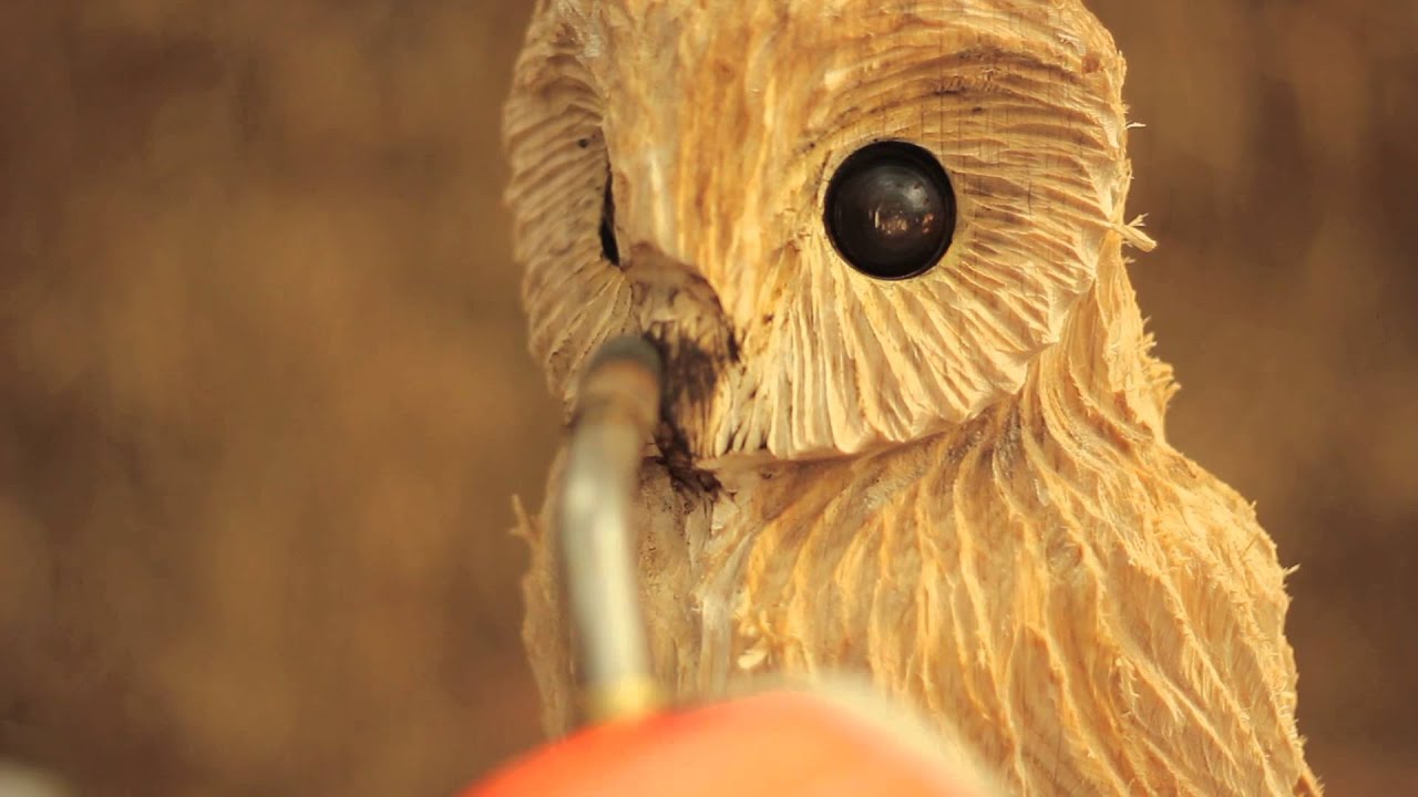 Andy Burgess | Carving An Owl