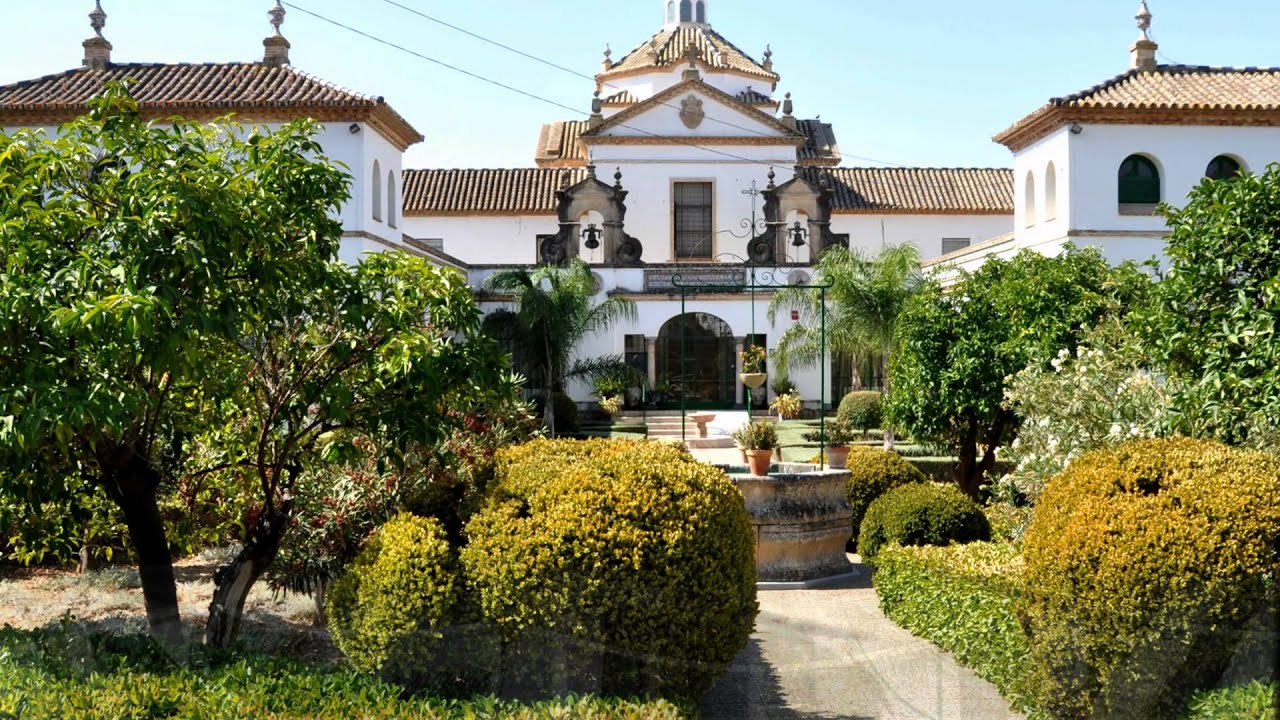 Un paseo por Montellano (Sevilla) 2013
