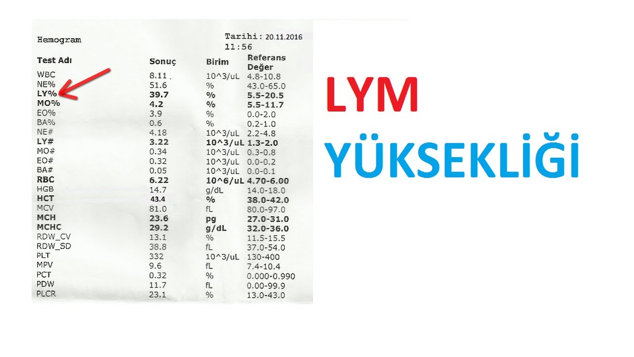 ЧТО ТАКОЕ LYM, ЧТО ЗНАЧИТ ВЫСОТА?