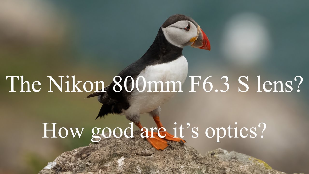 The Nikon 800mm, F6.3 S lens - how good are it's images!